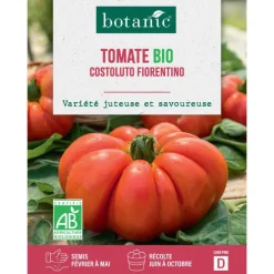 Graines de tomate costoluto fiorentino bio botanic® - graines costoluto semer