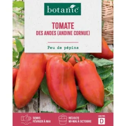 Graines de tomate des andes andine cornue botanic® - graines à semer