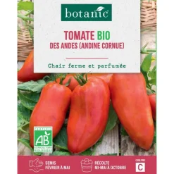 Graines de tomate des andes bio botanic® - graines des semer