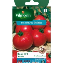 Graines de tomate dona HF1 Vilmorin - graines à semer