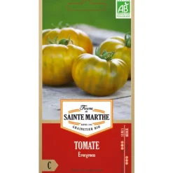 Graines de Tomate Evergreen bio Ferme de Sainte Marthe - graines à semer