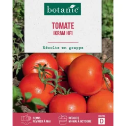 Graines de tomate ikram F1 botanic® - graines à semer