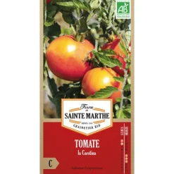 Graines de tomate la carotina bio Ferme de Sainte Marthe - graines à semer
