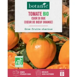 Graines de tomate oxheart orange bio botanic® - graines à semer