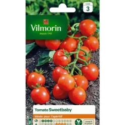 Graines de tomate sweetbaby Vilmorin - graines à semer