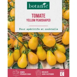 Graines de tomate yellow pearshaped insolite botanic® - graines à semer