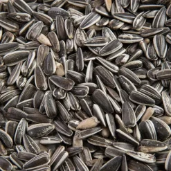 Graines de tournesol striées pour oiseaux Grain de Vie - 12 kg