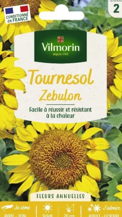Graines de Tournesol Zebulon Vilmorin - graines à semer