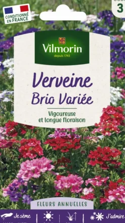 Graines de Verveine Brio variée Vilmorin - graines à semer