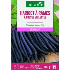 Graines d'haricot à rames à cosses violettes botanic® - graines à semer 100 g