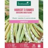 Graines d'haricot à rames soissons gros blanc botanic® - 80 graines à semer