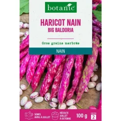 Graines d'haricot nain big baldoria botanic® - graines nain semer