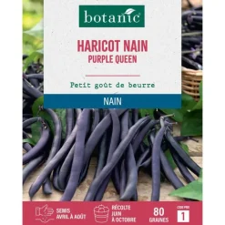 Graines d'haricot nain purple queen botanic® - graines nain semer