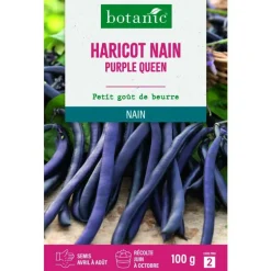 Graines d'haricot nain purple queen botanic® - graines à semer 100 g
