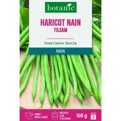 Graines d'haricot nain tilsam botanic® - graines nain semer