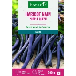 Graines d'haricot nan purple queen mangetout botanic® - graines à semer