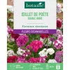Graines d'œillet de poète double varié botanic® - graines à semer