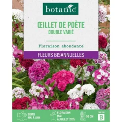 Graines d'œillet de poète double varié botanic® - graines à semer