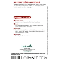 Graines d'œillet de poète double varié botanic® - graines à semer