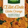 Graines d’Œillet d’Inde Globe orange Vilmorin - graines à semer