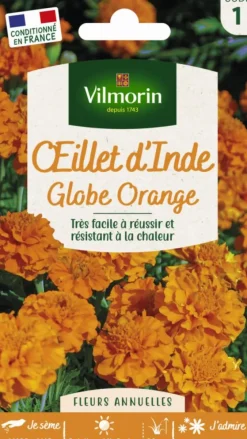 Graines d’Œillet d’Inde Globe orange Vilmorin - graines à semer