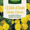 Graines d’œillet d’Inde Globe Citron Vilmorin - graines à semer