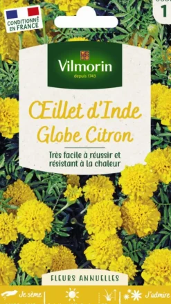 Graines d’œillet d’Inde Globe Citron Vilmorin - graines à semer