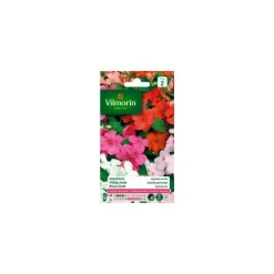 Graines d’Impatiens Hybride variée Vilmorin - graines à semer