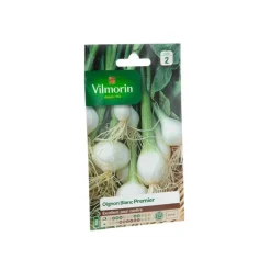 Graines d’Oignon blanc Vilmorin - graines à semer
