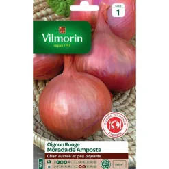 Graines d'oignon rouge morada d'Amposta Vilmorin - graines à semer