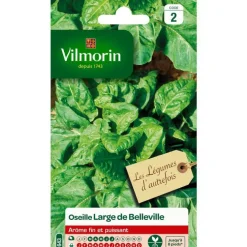 Graines d'oseille large de Belleville Vilmorin - graines à semer