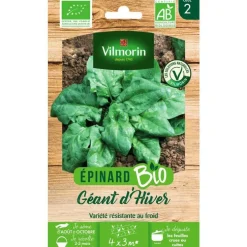 Graines d'épinard géant d'hiver bio Vilmorin - graines à semer