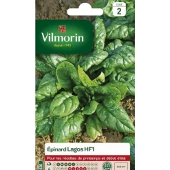 Graines d'épinard lagos HF1 Vilmorin - graines à semer