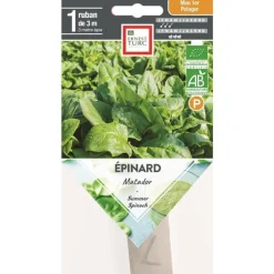 Graines d’Épinard Matador bio Ernest Turc - graines à semer