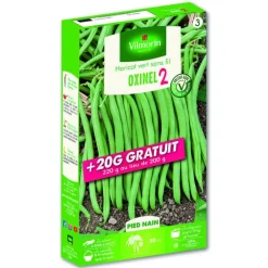 Graines haricot vert sans fil Oxinel 2 Vilmorin - graines à semer