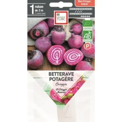 Graines présemées de Betterave potagère Chioggia bio Ernest Turc - 1 ruban de 2 m