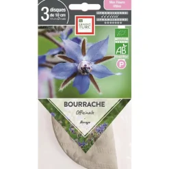 Graines présemées de Bourrache officinale bio Ernest Turc - 3 ronds de 10 cm