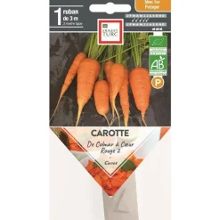 Graines présemées de Carotte de Colmar à cœur rouge 2 bio Ernest turc - 1 ruban de 3 m