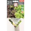 Graines présemées de duo de Laitues à couper bio Ernest Turc - 2 rubans de 1 m