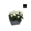 Géranium blanc plante artificielle en jardinière Slate grise 30x13x40 cm