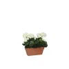 Géranium blanc plante artificielle en jardinière Terra 29x13x40 cm