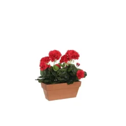 Géranium rouge plante artificielle en jardinière Terra 29x13x40 cm