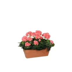 Géranium saumon plante artificielle en jardinière Terra 39x13x40 cm