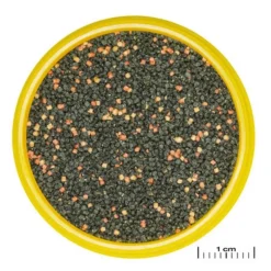 Granulés pour guppy enrichis - 136g/250ml - JBL ProNovo Grano S