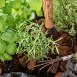 Griffe à 5 dents de couleur marron