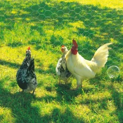 Grillage Galvanex maille hexagonale 1,3 cm Métal galvanisé Gris L5 m x H50 cm