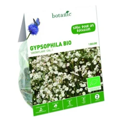 Gypsophile Paniculata Snowflake bio blanc botanic® - 1 bulbe