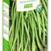 Haricot argus nain vert Vilmorin - graines à semer