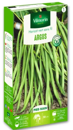 Haricot argus nain vert Vilmorin - graines à semer