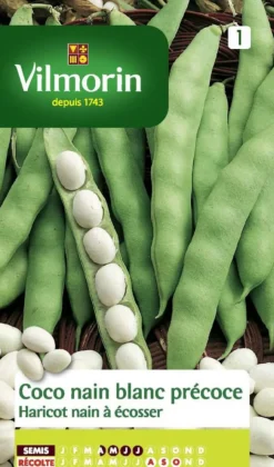 Haricot Coco nain Vilmorin - graines à semer